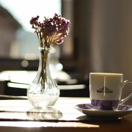 Hotel 7seven 3*